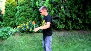 Jojozz.hu: Bounce! - Farag&oacute; Bence - Aero-yo Superfly