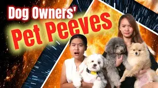 Dog Owners' Biggest Pet Peeves | Okie Doggie | Qiuyu Adeline | Bailey Double Pepper