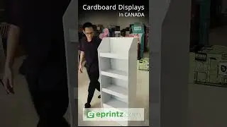Cardboard Displays for Business 🚀 | Kitchener-Waterloo | Eprintz Print Shop
