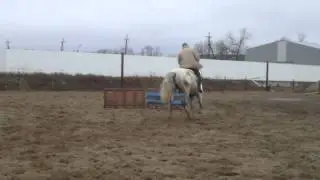 MOV00774