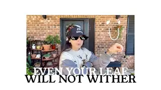 EVEN YOUR LEAF WILL NOT WITHER | 🌳