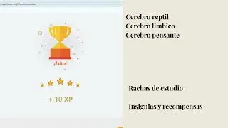 Iniciacion a la Odontologia Trabajo 3, Lingodeer