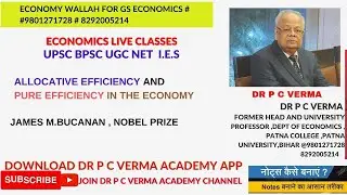 ALLOCATIVE EFFICIENCY AND PURE EFFICIENCY IN THE ECONOMY