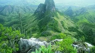 Estado Guárico (Libro Visita Cada Rincón de Venezuela)