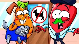 Мой питомец &mdash; мой друг 😻 Груши заботятся о питомцах 🍐