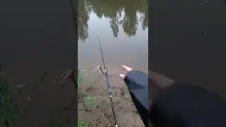 Рыбал04КА