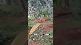 RIVER-TOUCH SETTLEMENT PLOT FOR SALE &ndash; SOUTH GOA  #goarealestate #rivertouchland #goaproperty