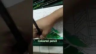 guess how many colour pencil I use in this drawing #shortsvideo #creativeillustration #colouring