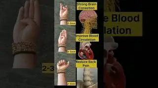 best mudra🧘&zwj;♀️#yoga   #Connection  #ImproveBloodCirculation  #ReduceBackPain #shorts  #DailyMudra