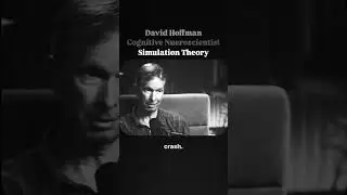 Simulation theory   David Hoffman