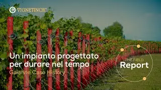 Vigneto Gaiarine: un impianto progettato per durare // Vignetinox
