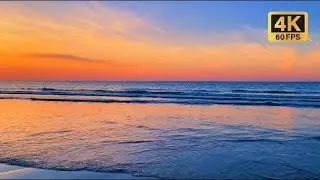 LIVE Coastal Harmony 24/7 | Soothing Ocean Waves for Sleep, Relaxation and Focus