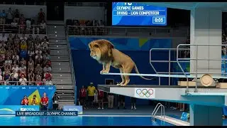 Animals Olympics 🐒🐘 | Funny Animal Water Diving Competition | Olympic Games Show