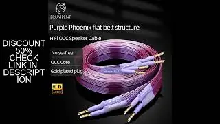 HiFi OCC Speaker Cable Hi-end Pure Copper Flat Belt with Serrated Solid Gold-plated Banana Y Plugs C