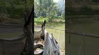 Jamban tradisional yang terbengkalai di pelosok kampung
