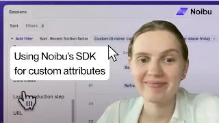How to track campaign performance with custom attributes in Noibu | Black Friday QA example