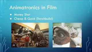 Animatronics 101: Gator Theme Park Engineering & Design