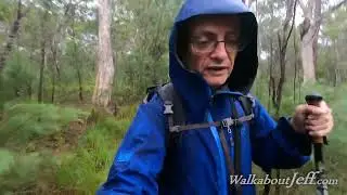 Cooloola Wilderness Trail - Wandi Waterhole to Harry's Hut