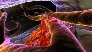 Part 2 of 3 - Episode 5 - Crash (Body Story)