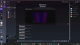 Serenitty Raider - Best raider discord 2025