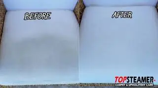 Professional Couch Cleaning Service