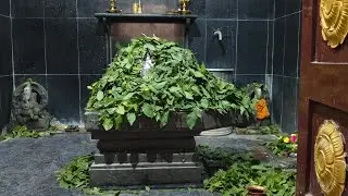 19th day of yekadasa Rudrabhishekam #akella srilakshmi #virinchivaniastro#