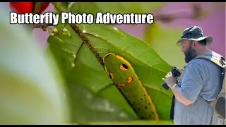 Butterfly Habitat Photography | Family Day with the OM-1 Mark II & 40-150 F4 Pro