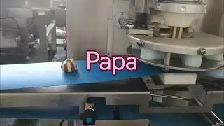 Testing  video for P170 double color cookies encrusting machine before the shipment