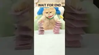 cat game mouse  hunt #shorts #short video #funny #trending