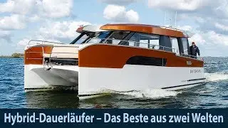 DutchCat Twelve – Das Beste aus zwei Welten?
