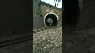 Tunnel Number 36 Kalka Shimla Train