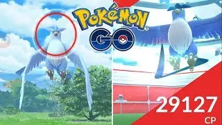 CONSIGO 2 ARTICUNO SHINY SEGUIDOS! LOCURA EN EL DÍA DE ARTICUNO! [Pokémon GO-davidpetit]