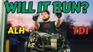 Broken Timing Belt + EvryMod UPDATE! | ALH TDI