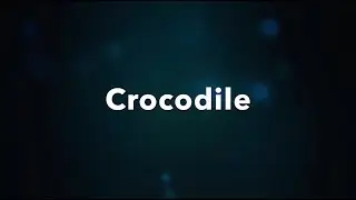 HomeSwim Song: Crocodile Crocodile Standing on the Wall - Fun Swim Time for Kids