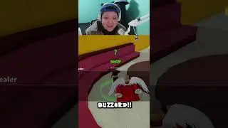 $500 dollar blox fruit account #roblox #bloxfruits