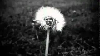 Sia - Don't Bring Me Down