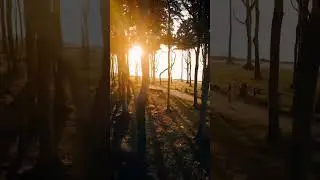 Magical Forest Skate at Sunset by michaelacarrot. #germany #travel #adventure #skating #wanderlust