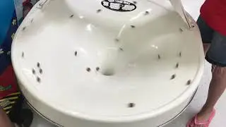 Putting A Lot Of Coins Down A Spiral Wishing Well