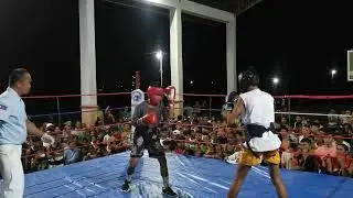 steve Torrejos win the fight by a technical knockout