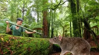 Follow the tracks of furry animals and set traps to catch them | SURVIVAL SKILLS 2