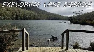 Hiking Lake Dobson with 3 Little Kids | Mt Field National Park Tasmania  | Three Under Two - Ep329