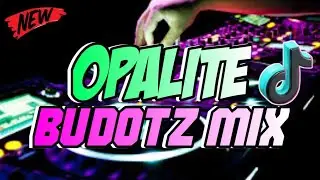 OPALITE | TIKTOK VIRAL BUDOTZ DANCE | DJELINO REMIX