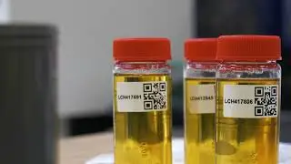Hogyan vegyünk szakszerűen olajmintát olajdiagnosztikához?