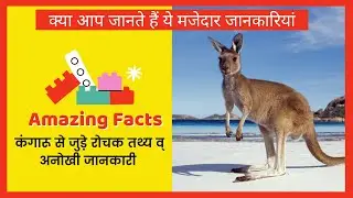 Most Amazing Kangaroo Facts 😱😱 - Fun Facts In Hindi