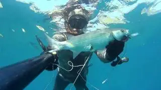 Cefalata con mares sten 84