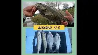 THE BEST time to fish The Maumee! White Bass & Walleye CC&C