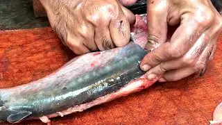 pangas fish processing