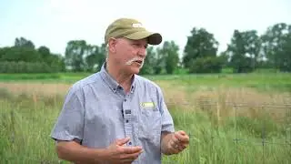 Why Is Organic More Expensive?