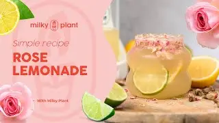 Refreshing Rose Lemonade Recipe 🌹 Floral Drink