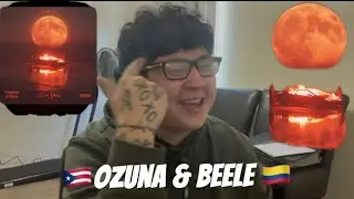 Gringo Reacci&oacute;n-(Ozuna🇵🇷& Beele🇨🇴)Stendhal  #reaction #viral #colombia #puertorico 